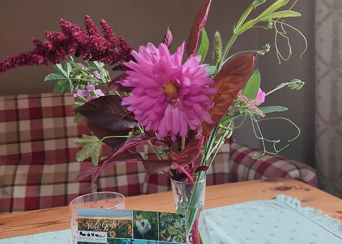 Neu! Boehlitz Neun Апартаменты Гримма